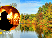 Пожежа, Пуща-Водиця