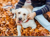 1 сентября - первый день осени