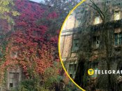 Особливо містично він виглядає в холодну пору року