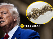 Дональд Трамп хочет РЗМ от Украины