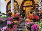 "Кловський сад" не просто крамниця квітів, це творчий простір