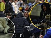 Люди на станции метро "Почайна" пережидают ракетную атаку по Украине