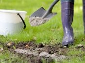 Деревна зола не любить дощ