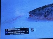 Сом на льоду у матчі НХЛ