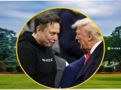 Ілон Маск та Дональд Трамп