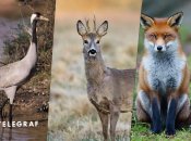 Иллюстративное фото