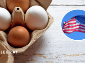 Цены на куриные яйца в США.