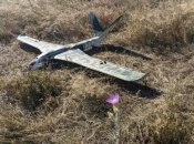 Backfire может нести две бомбы