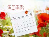Праздники и выходные в июне 2022