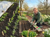 Наприкінці березня можна сіяти на городі перші овочі та зелень.