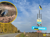 Наши воины защищают город