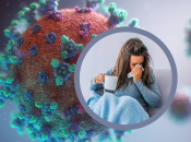 Штамм XBB.1.5 является гибридом двух вариантов