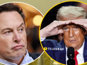 Відставка Маска — це стратегічна поразка Трампа