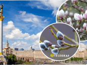 Прогноз погоди в Україні