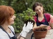 Чтобы семена лучше прорастали, есть действенный лайфхак