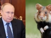 путин напомнил британскому журналисту грызуна