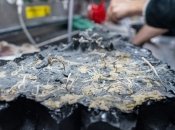 Отколотый кусок вулканической коры