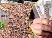 Весенняя привычка, которая может уничтожить природу