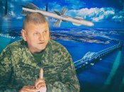 Часть украинцев считает, что это решение должен принять только Залужный