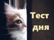 Ворожіння по картинці