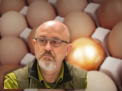 Резніков пояснив, що у ціні на яйця була допущена технічна помилка