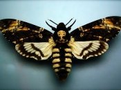 Дети-убийцы: что толкает детей на убийство?