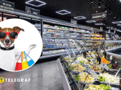 Собака в магазине