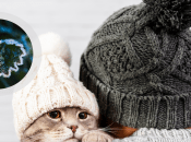 Заморозки никак не хотят окончательно покинуть Украину