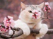 Первые весенние выходные будут теплыми