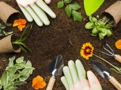 Календар робіт на городі підкаже перелік справ