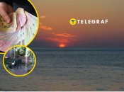 Вблизи Одессы сдают в аренду небольшой домик