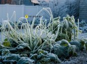 Весна часто непредсказуема в плане погоды