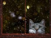 18-19 ноября в Украине серьезно испортится погода