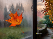 Як позбавитися від запотівання вікон