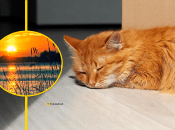 Спека невдовзі спаде