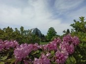 Ботанический сад Львовского национального университета им. Ивана Франко