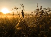 Тепло ще не повністю відступило з України