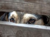 Иллюстративное фото