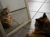 Народные приметы и суеверия о зеркале