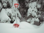 Навіть засніжені грядки необхідно удобрювати