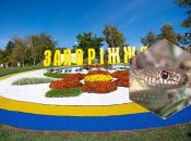 Желтобрюхий полоз в Запорожье