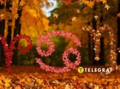 Расклад Таро на ноябрь 2024