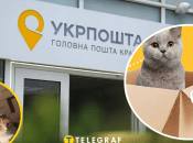 Колаж "Телеграфу"