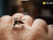 Комары больше не будут вам надоедать