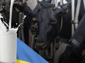 Производители рассчитывают на государственный подход к важной отрасли