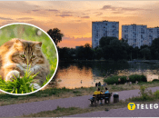 Погода в Україні 30-31 серпня