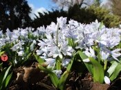 Прогноз погоды в Украине на март