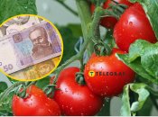 Они оказались самым дорогим продуктом сезона
