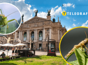 Коллаж "Телеграфа"