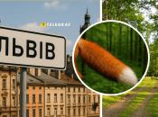 Хищное животное во Львове выглядело ужасно